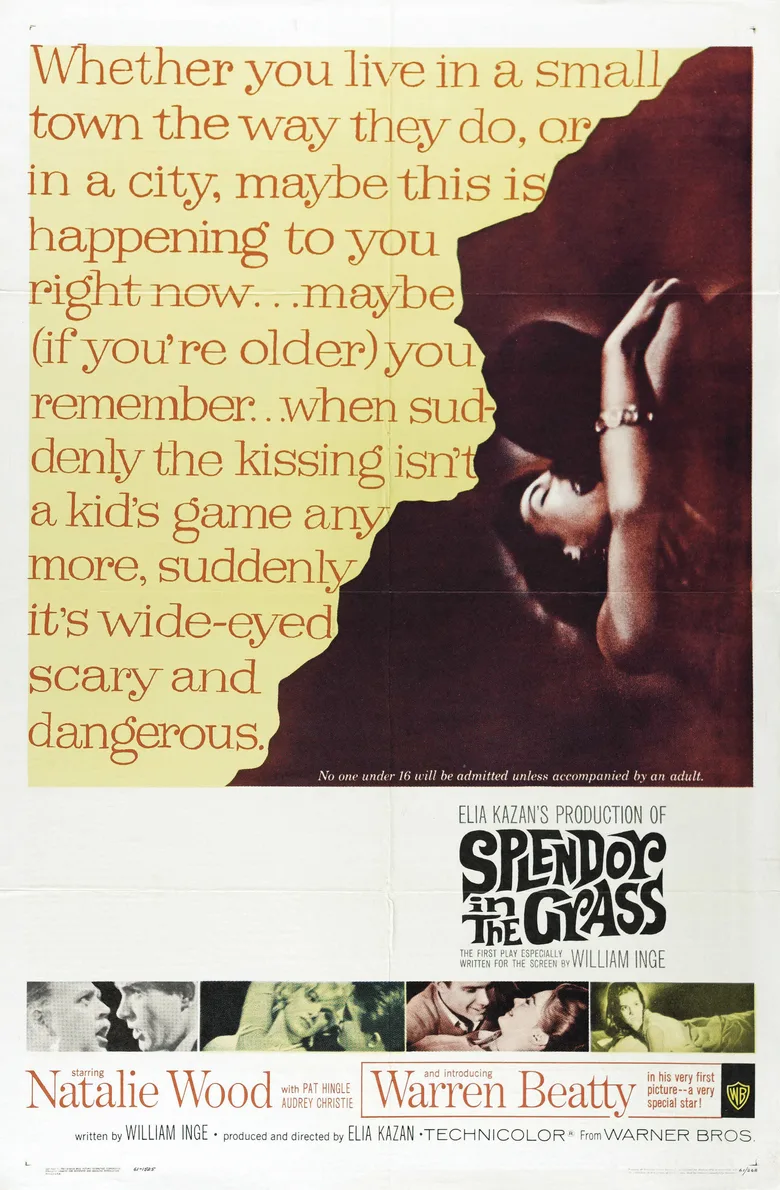 Splendor in the Grass poster