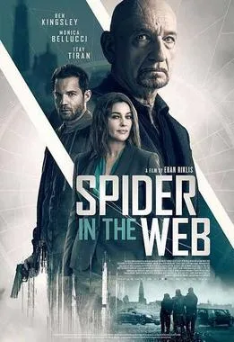 Spider in the Web poster