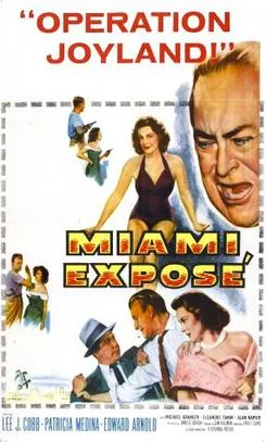 Miami Exposé poster