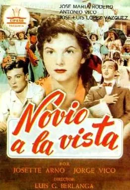 Novio a la vista poster