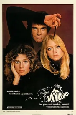 Shampoo poster