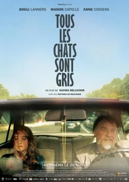 All Cats Are Grey poster