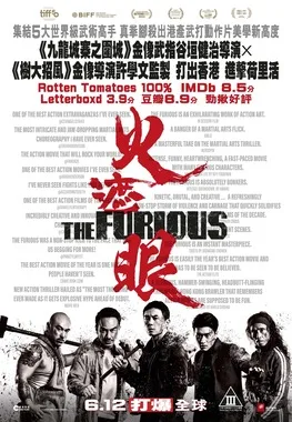 The Furious poster