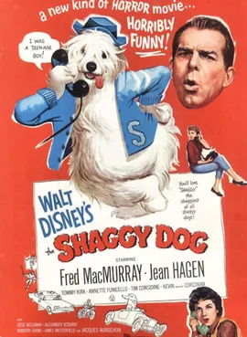 The Shaggy Dog poster