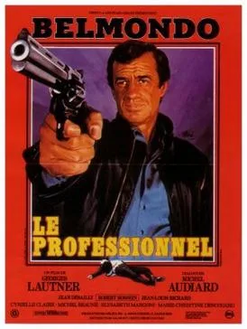The Professional poster