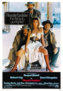 Hannie Caulder poster