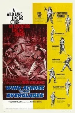Wind Across the Everglades poster