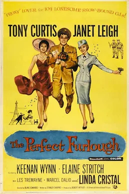 The Perfect Furlough poster