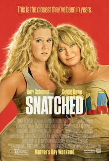 Snatched poster