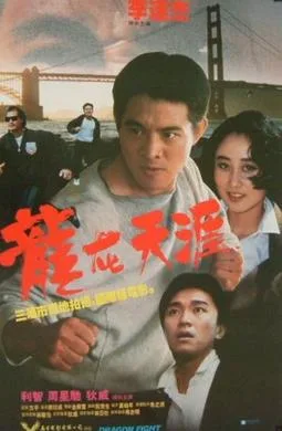 Dragon Fight poster