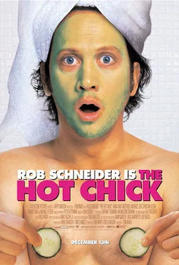 The Hot Chick poster