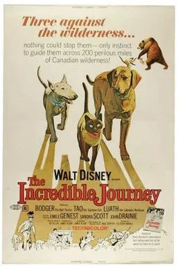 The Incredible Journey poster