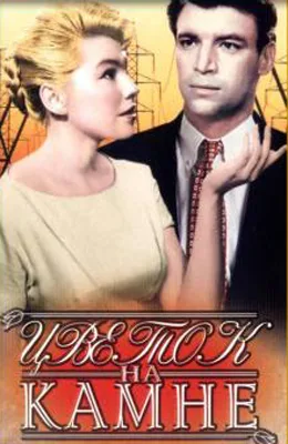 Flower on the Stone poster