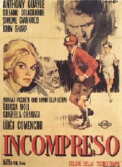 Misunderstood poster