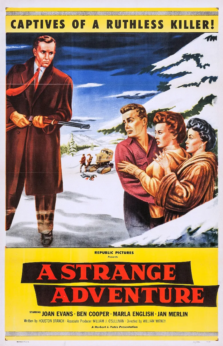 A Strange Adventure poster