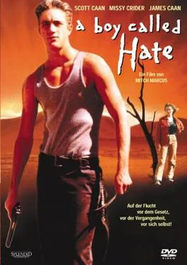 A Boy Called Hate poster