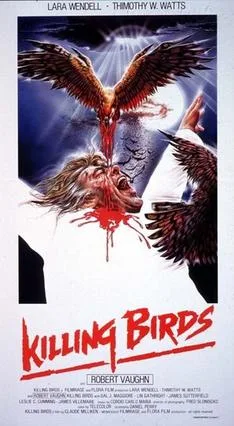 Killing Birds poster