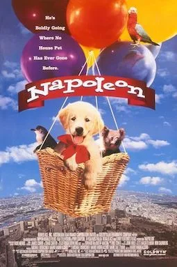 Napoleon poster