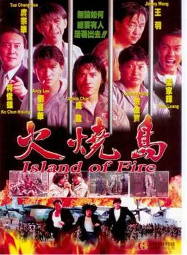 Island of Fire poster