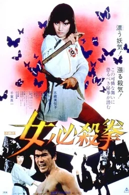 Sister Street Fighter poster