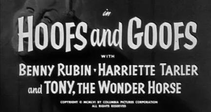 Hoofs and Goofs poster