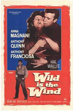 Wild Is the Wind poster