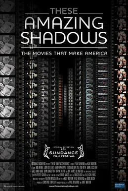 These Amazing Shadows poster