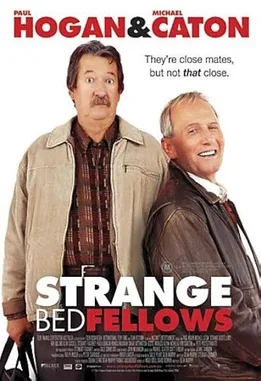Strange Bedfellows poster