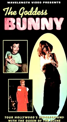 The Goddess Bunny poster