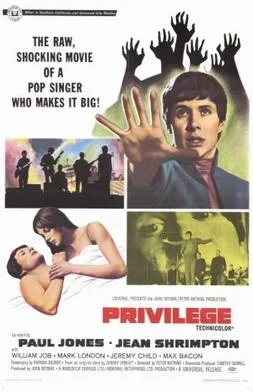 Privilege poster