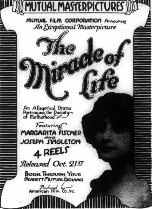 The Miracle of Life poster