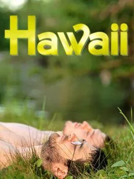 Hawaii poster
