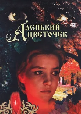 The Scarlet Flower poster