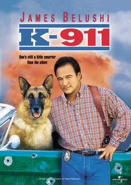K-911 poster