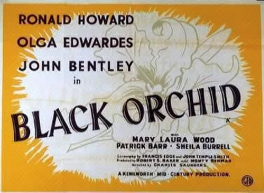 Black Orchid poster
