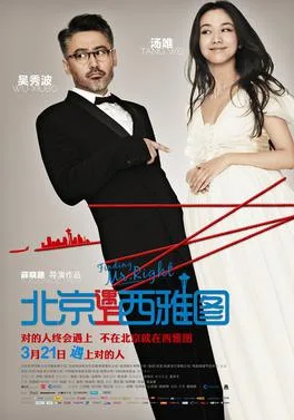 Finding Mr. Right poster