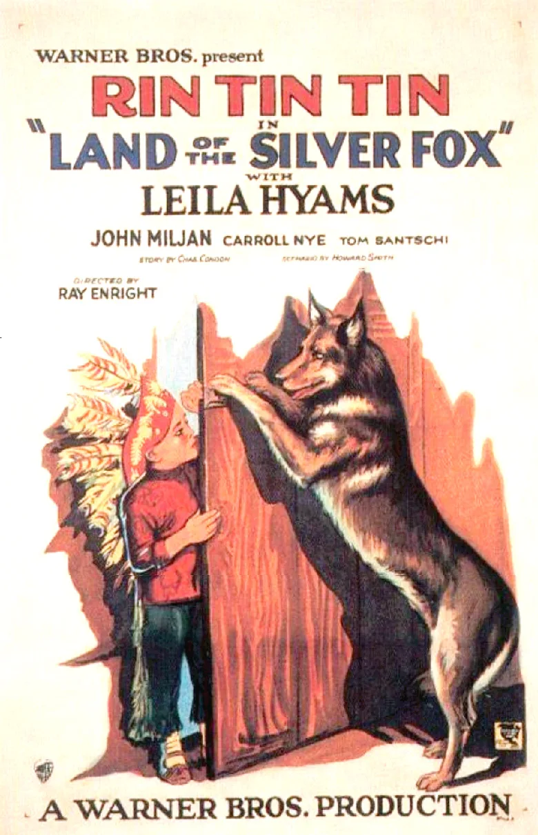 Land of the Silver Fox poster