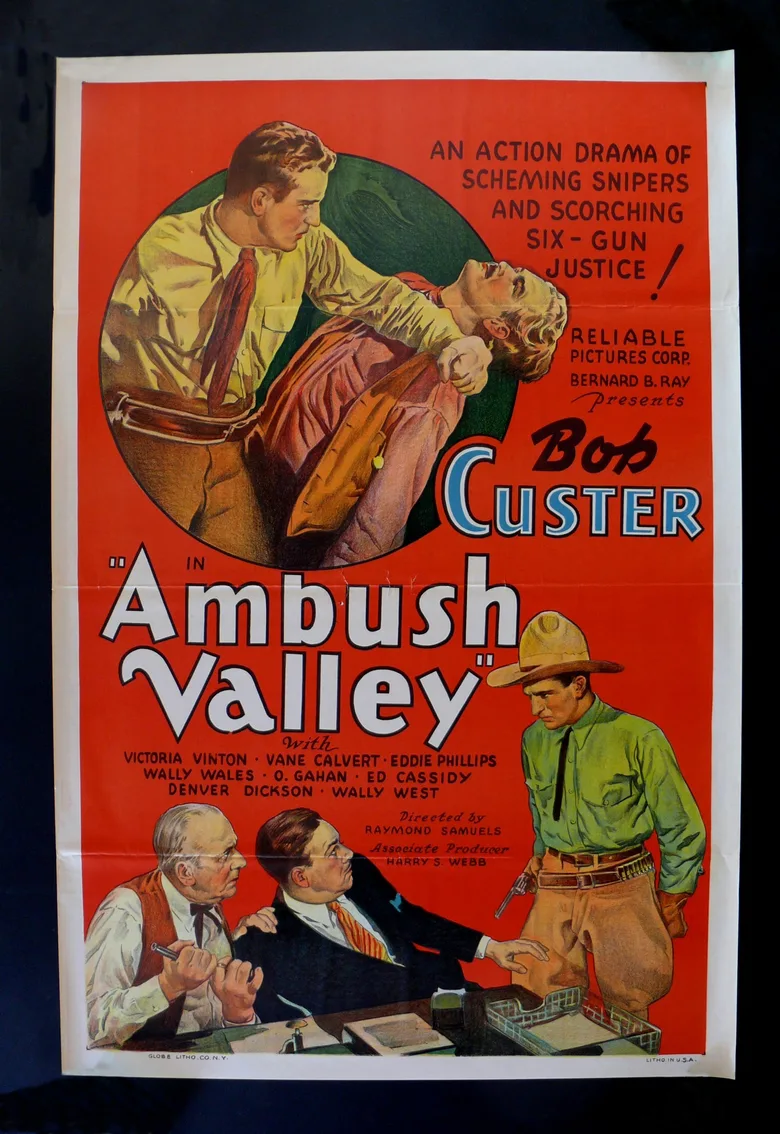 Ambush Valley poster