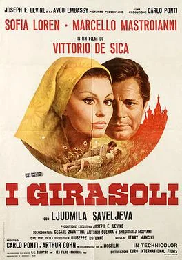 Sunflower poster