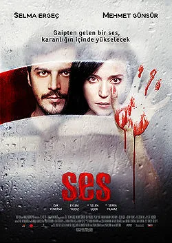 The Voice poster