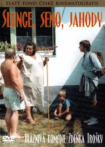 Slunce, seno, jahody poster