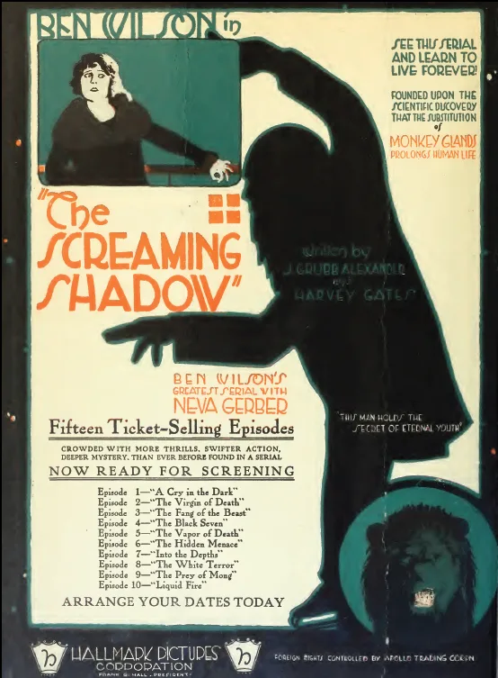 The Screaming Shadow poster
