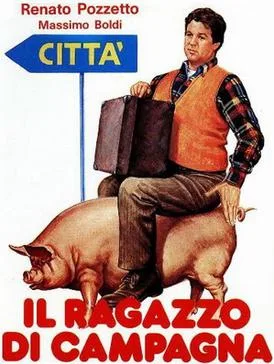 Il ragazzo di campagna poster