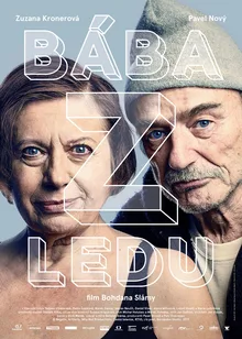 Ice Mother poster