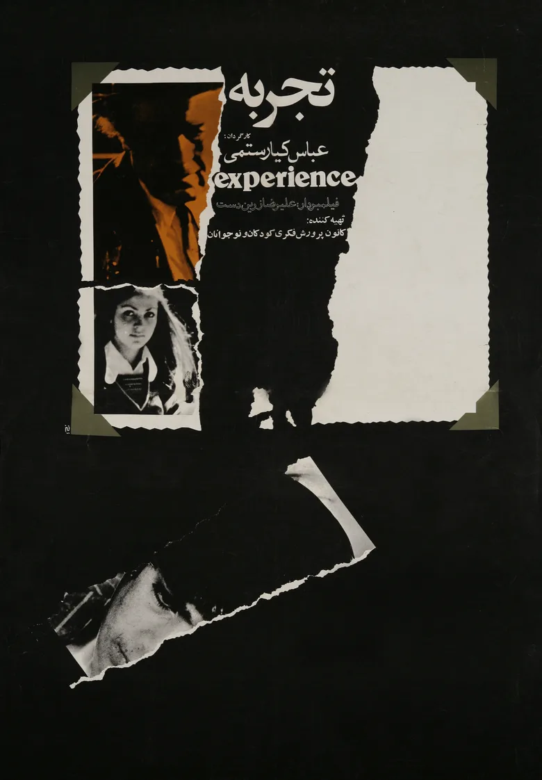 The Experience poster