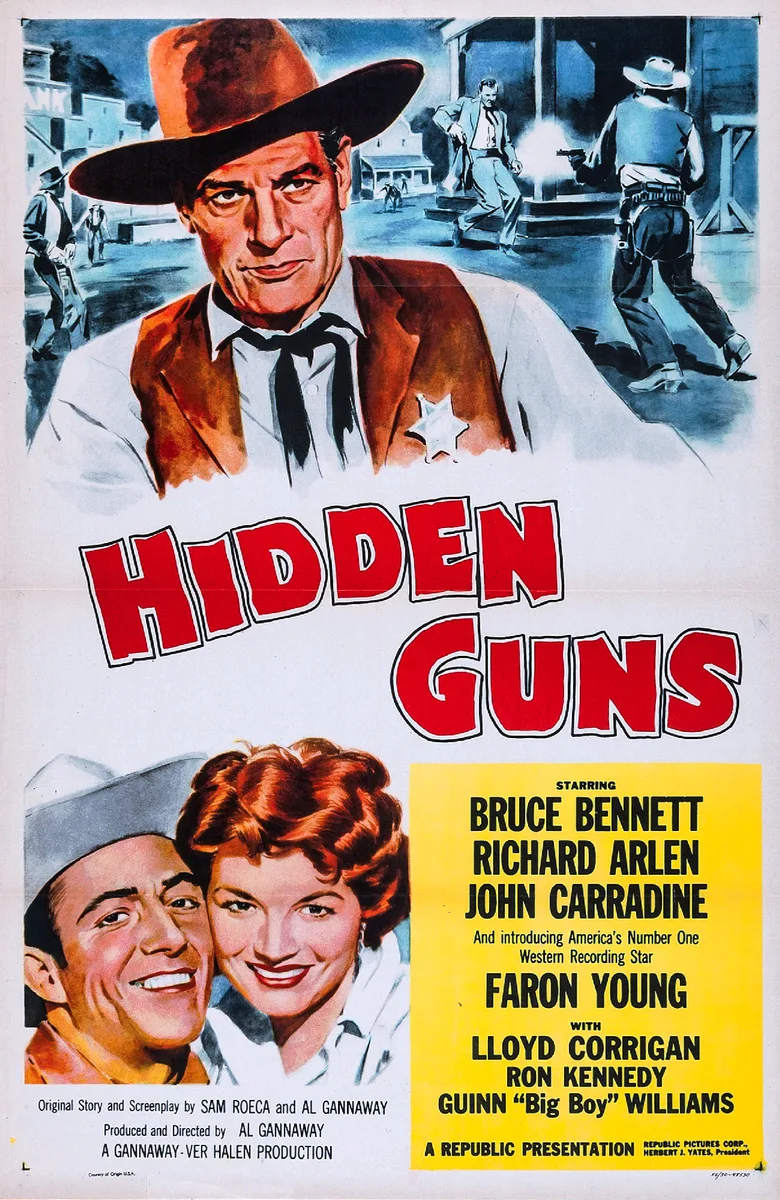 Hidden Guns poster