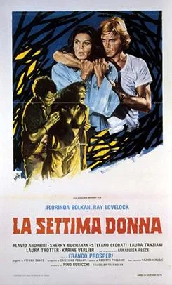 The Last House on the Beach poster