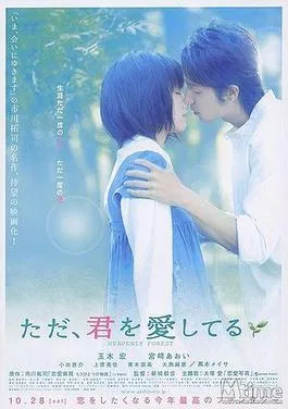 Tada, Kimi o Aishiteru poster