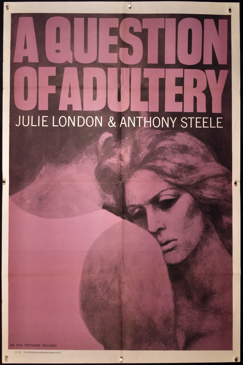 A Question of Adultery poster