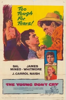 The Young Don't Cry poster